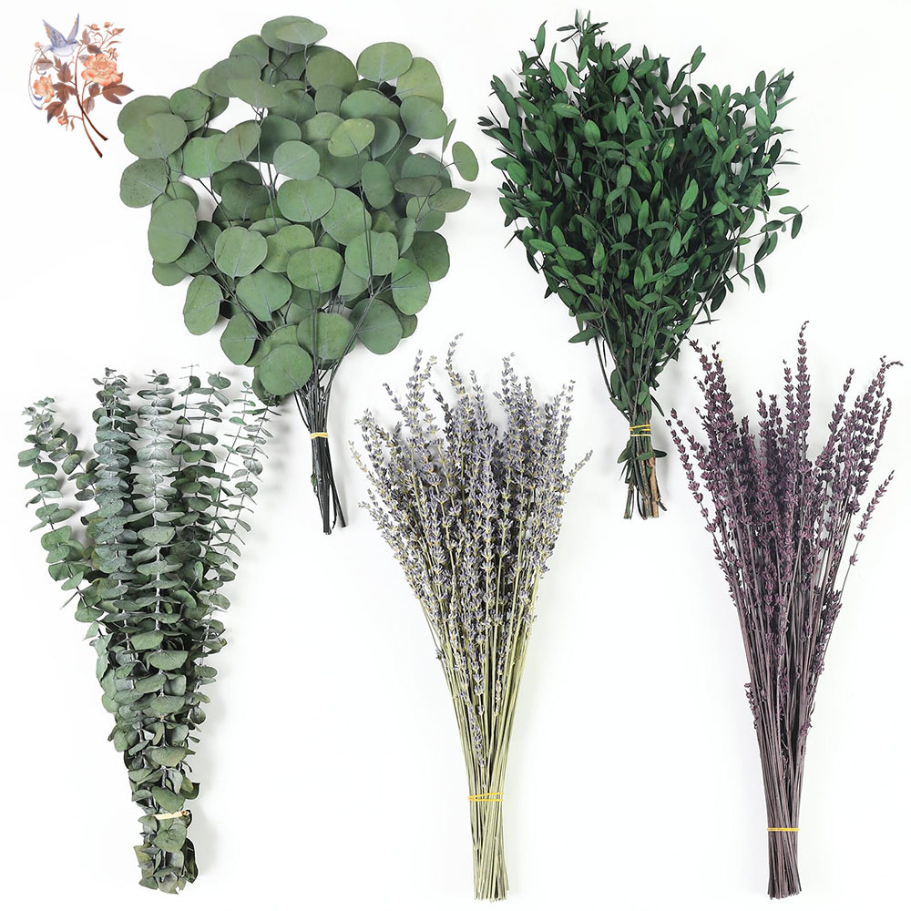 110Pcs Mix Dried Eucalyptus Le - Home Fragrance Fillers review and price