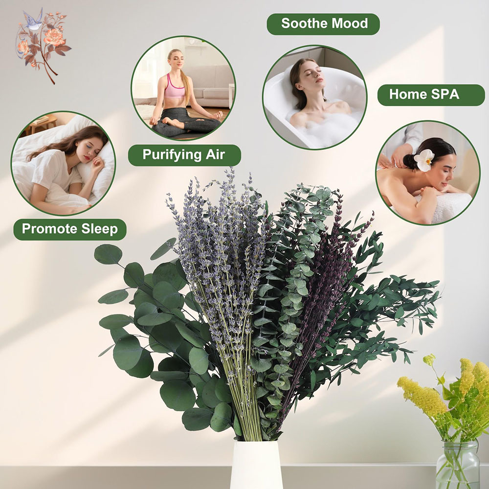 110Pcs Mix Dried Eucalyptus Le - Home Fragrance Fillers review and price