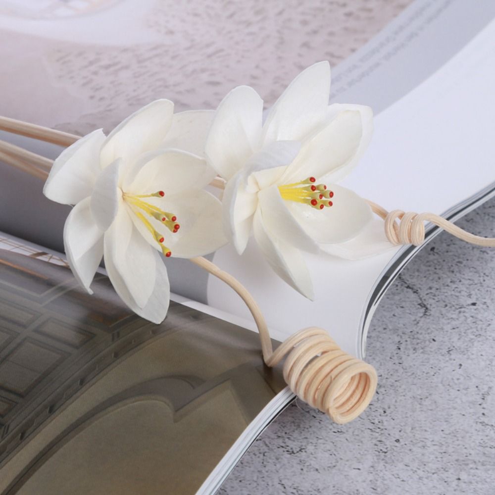 Multipurpose 5cm Natural Handm - Home Fragrance Natural review and price
