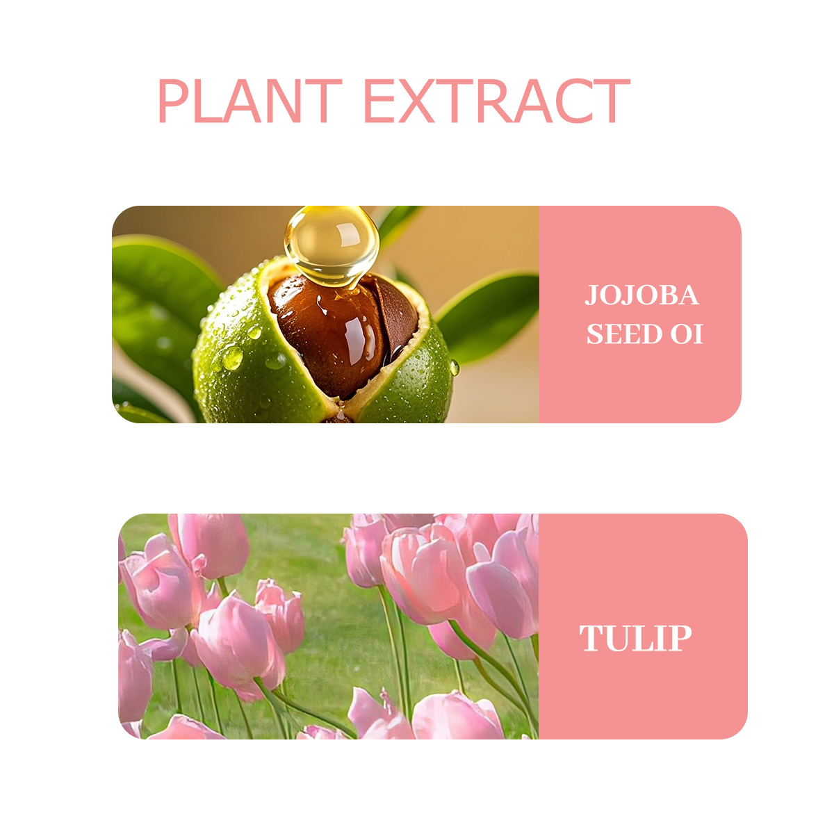NIVAVIN 30ml/60ml/100ml Tulip  - Home Fragrance Co review and price
